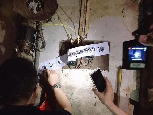 屠宰最新爆料消息网,屠宰行业惊人内幕大揭秘!