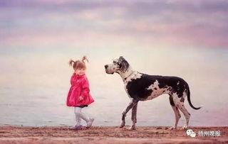 泉州爆料大狗视频,究竟何方神圣?