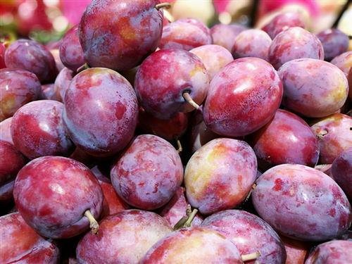 娱乐吃瓜少女西梅拿铁,娱乐吃瓜少女的趣味生活揭秘  第2张 娱乐吃瓜少女西梅拿铁,娱乐吃瓜少女的趣味生活揭秘  第2张